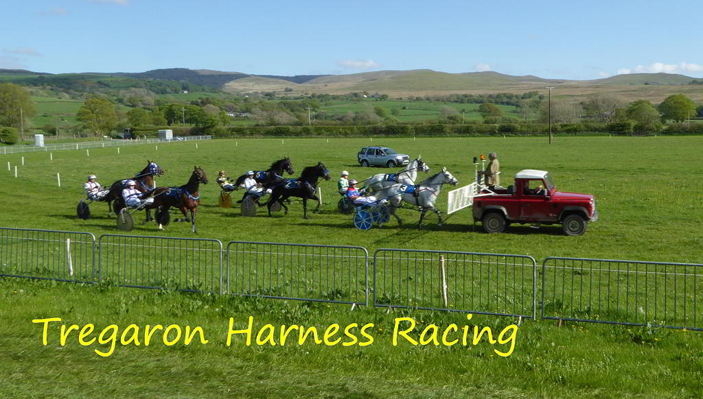 Tregaron Harness Racing