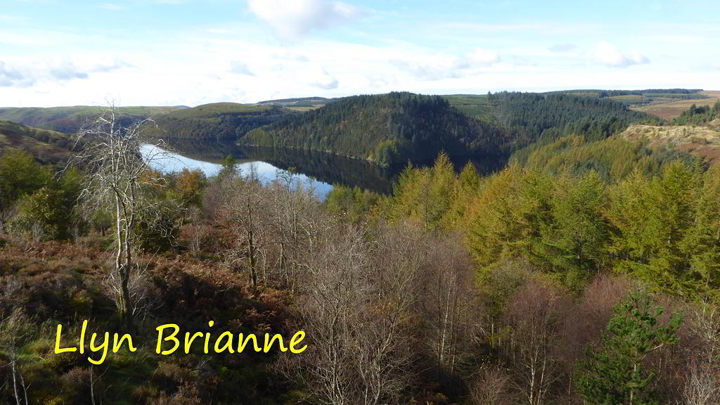 View of Llyn Brianne