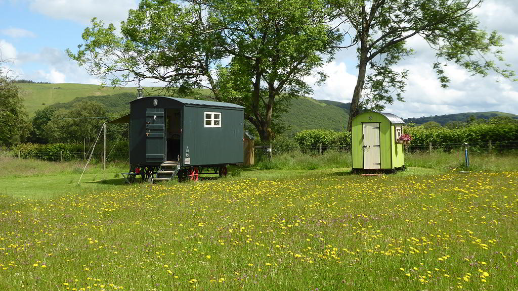 View of the Hygge Hut and the wild flowers in the meadow
