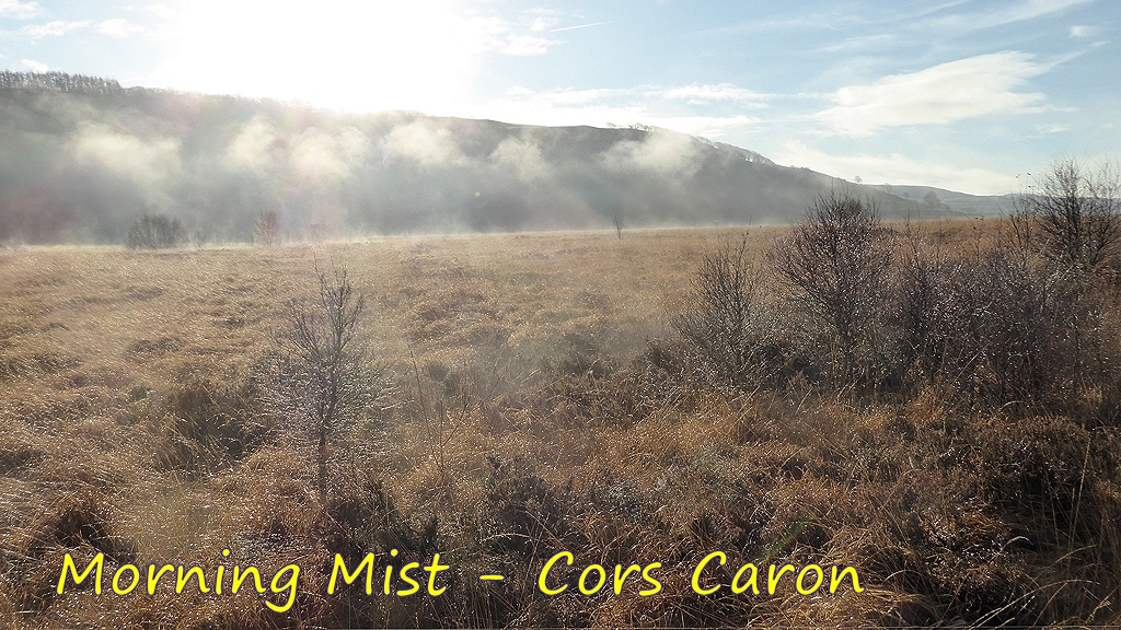 Morning Mist at Cors Caron